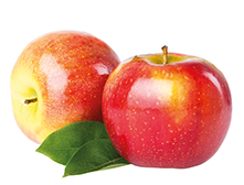 Frische Äpfel zu fruchtigem Direktsaft gepresst bei Pfannenschwarz Fruchtsaft Manufaktur in Waldenbuch bei Böblingen