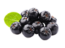 Frische Aronia-Beeren zu fruchtigem Direktsaft gepresst bei Pfannenschwarz Fruchtsaft Manufaktur in Waldenbuch bei Böblingen